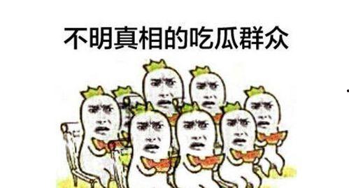 吃瓜群众评论群委员,揭秘娱乐圈幕后真相