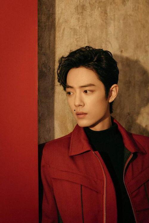 哪个明星粉丝比较理智,揭秘明星粉丝圈的理智力量