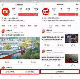 头条小店直播卖货收费吗,揭秘收费模式与盈利之道