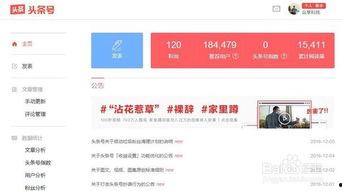 写头条号的感受