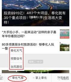 奉化头条信息,头条资讯速览