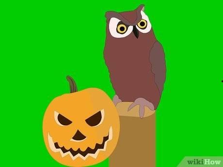 怎样预防动物吃瓜,预防动物吃瓜的实用技巧