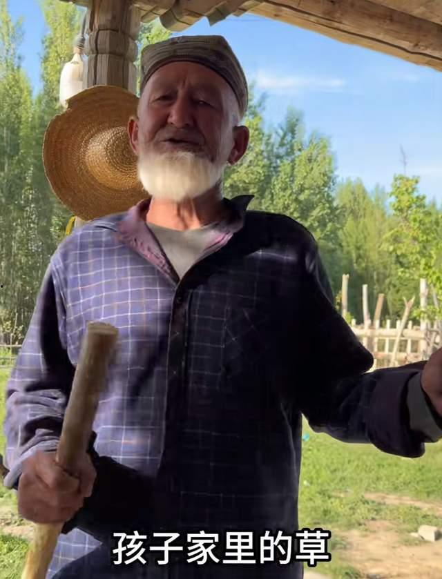 网红爷爷的孙子叫什么,揭秘孙子的名字之谜